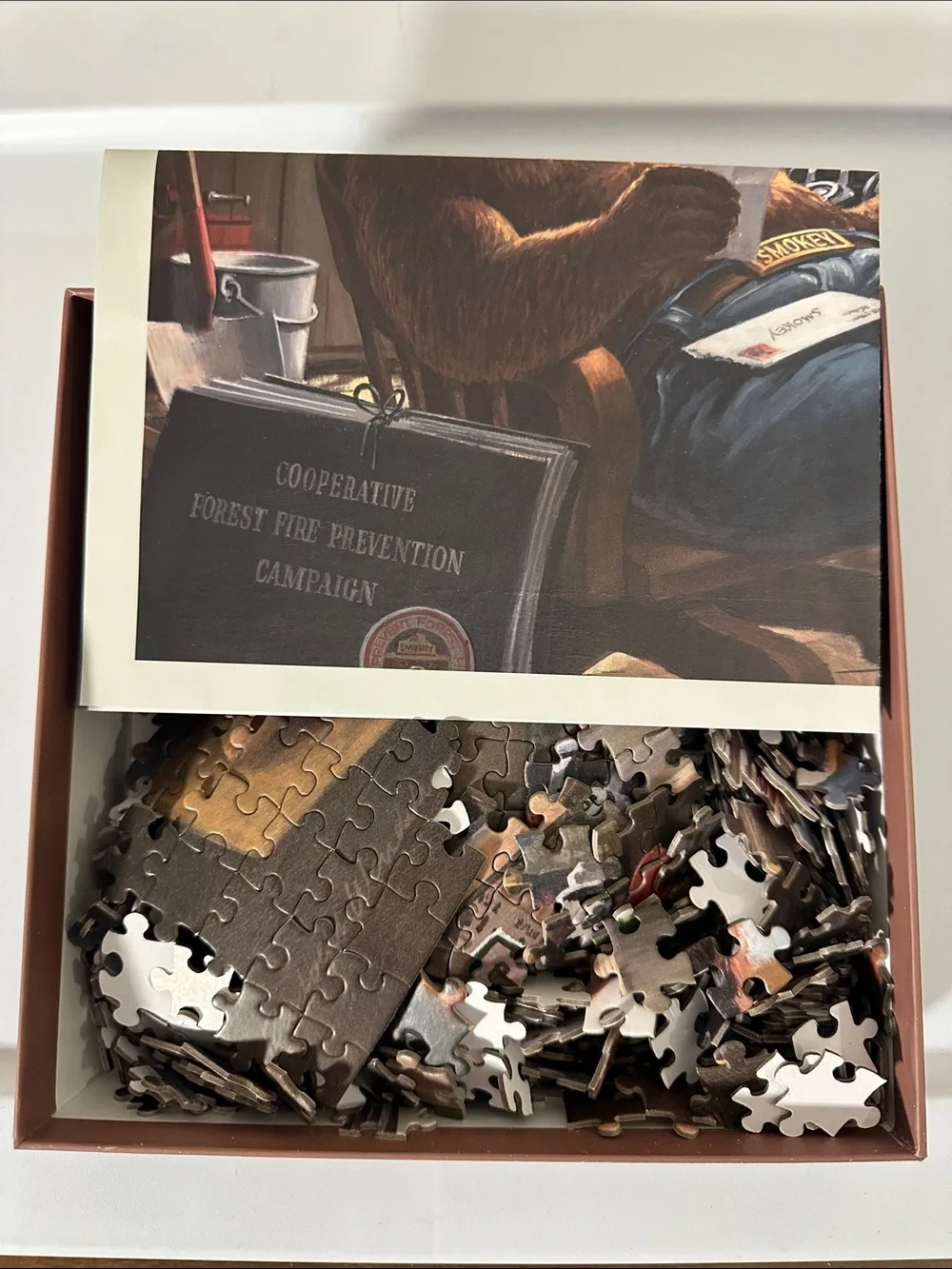 Smokey Bear Jigsaw Puzzle - Brown Bear Illustration